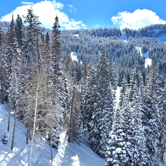 Ambassador❤Mentor❤High Rated Seller❤Send Offers❤ - Picture 5 of 12